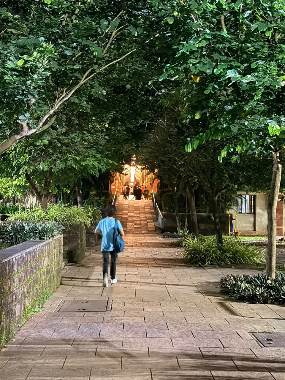 Evening Campus Pathway